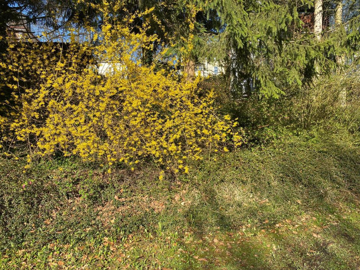 Ferienwohnung Sternenhimmel Lichtenberg  Екстериор снимка